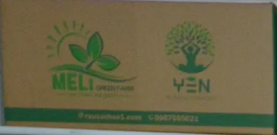 Mẫu MP-013: Thùng carton kraft in 1 màu xanh lá cho nông sản — in 1–2 màu, Minh Phúc sản xuất